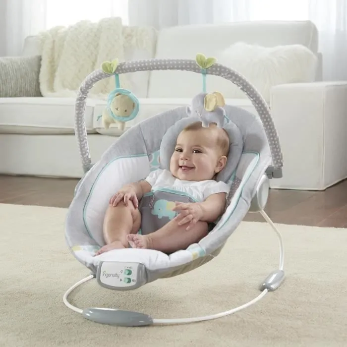 INGENUITY Transat bébé-Morrison- Arche avec jouets d'éveil amovible, 8 Mélodies, Vibrations apaisantes, Cale tête évolutif amovible-1