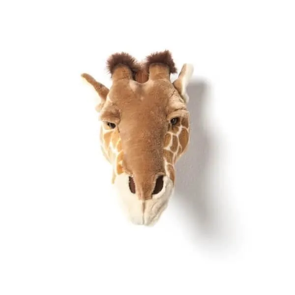 Trophée tête de girafe-0