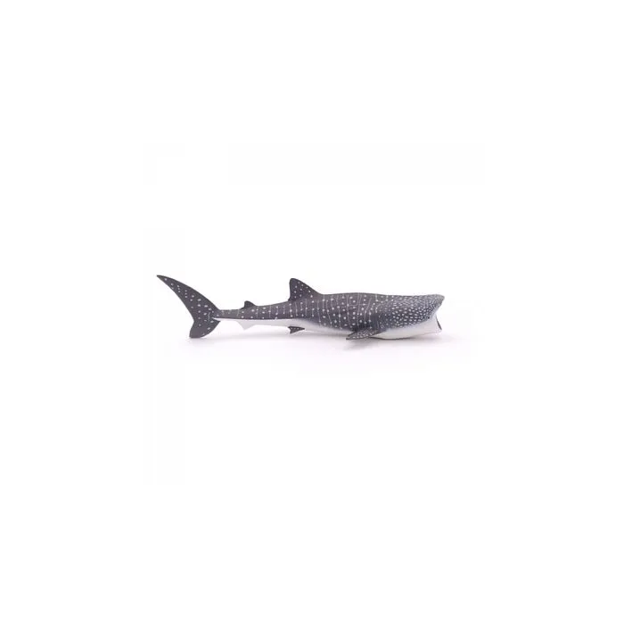 Papo - Figurine Requin baleine-4
