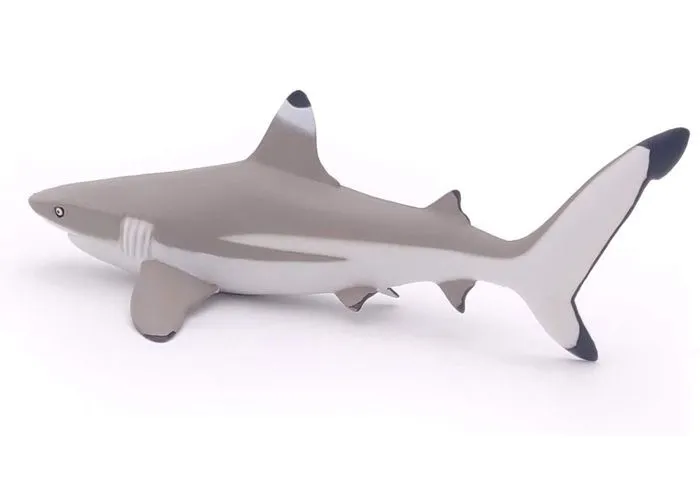 Papo - Figurine Requin à pointes noires-5