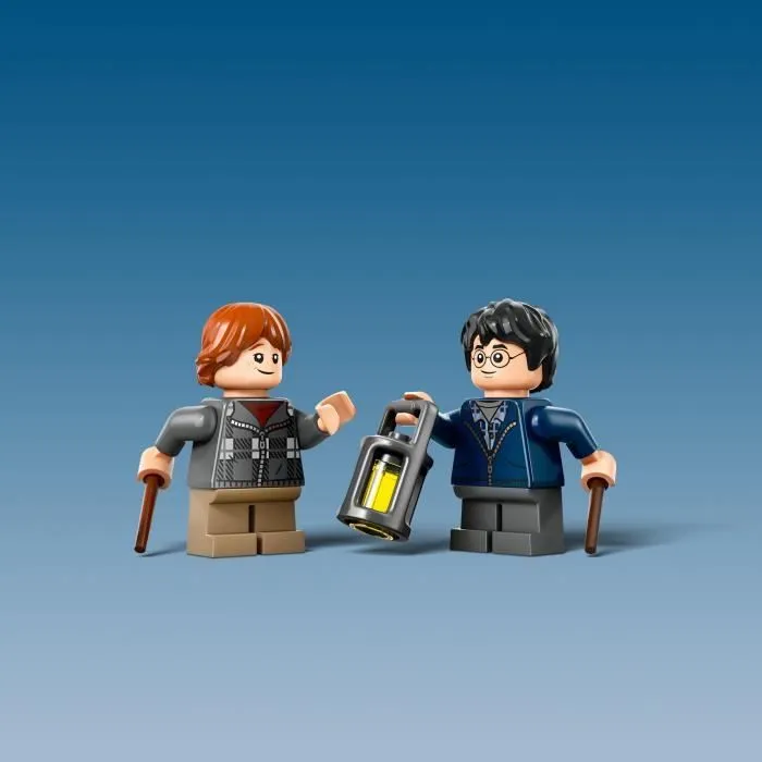 LEGO® Harry Potter 76434 Aragog dans la Forêt interdite - Set sur le thème des araignées-3