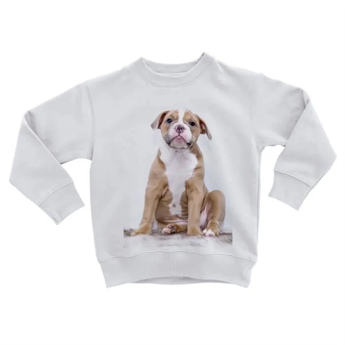 Sweatshirt Enfant Superbe Bulldog Chiot Blanc et Marron Bebe Chien Mignon-0