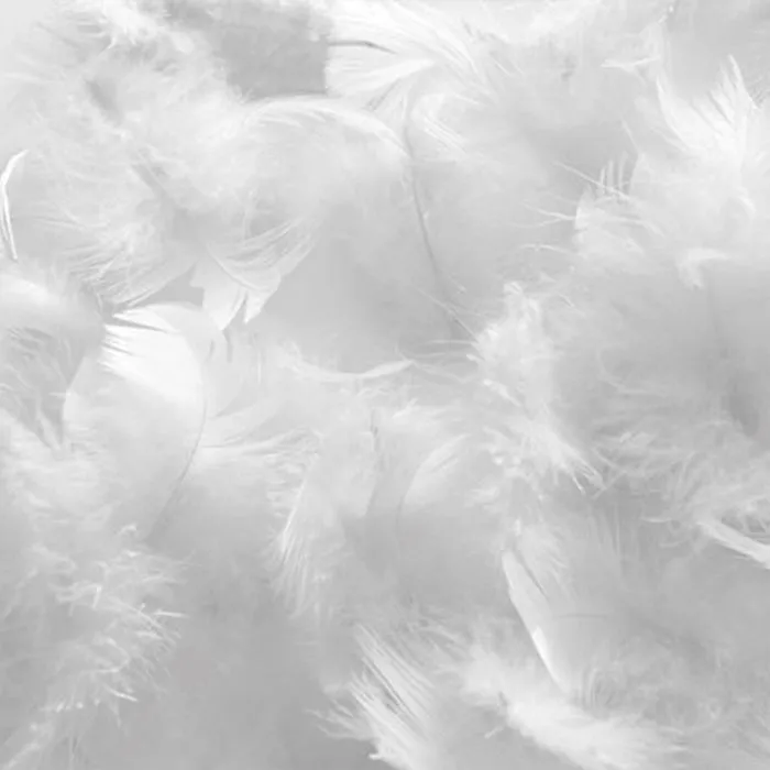 Couette NATURA 140x200 cm | Duvet & Plumes | Blanc-3