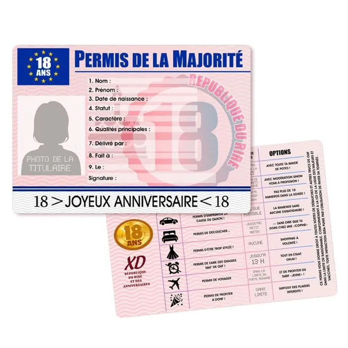Permis humoristique - Majorité - 18 ans - Fille - Rose - Décoration de fête - Intérieur-0