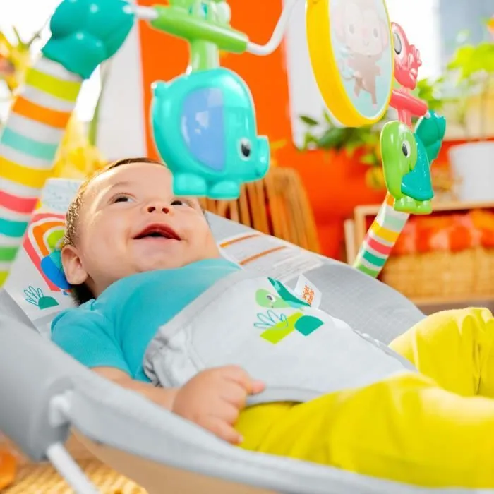 BRIGHT STARTS Transat bébé Animaux, Vibrations apaisantes, Arche d'éveil avec jouets interactifs-4