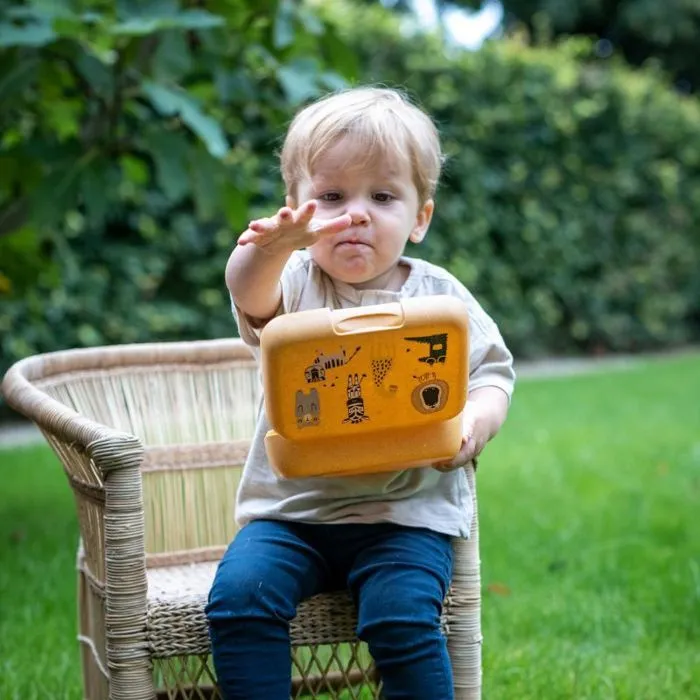 Lunch box - boite a repas Koziol Boîte à lunch enfant CANDY L, bio,-1