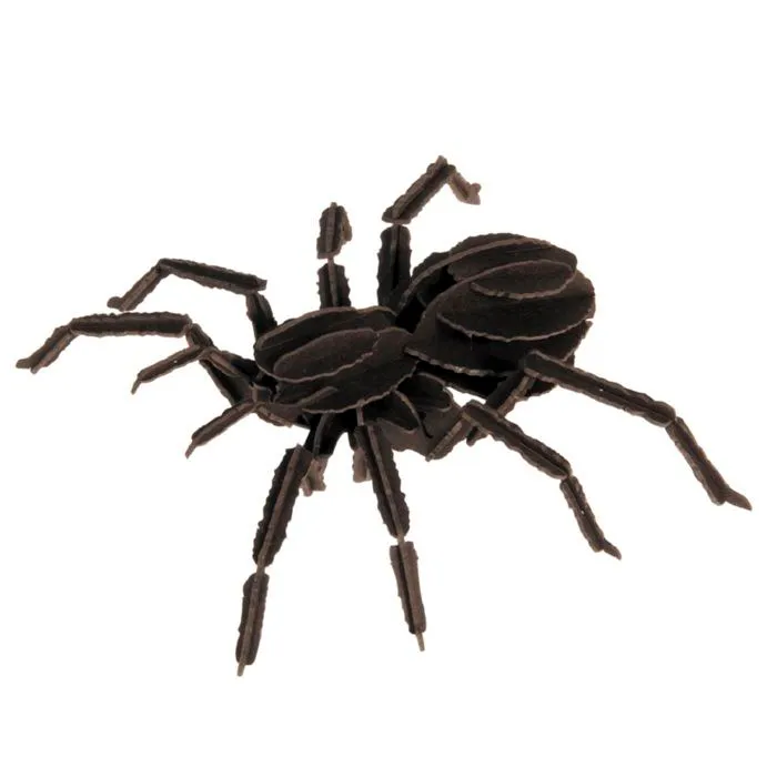 Fridolin - Maquette 3D en papier Tarentule-2