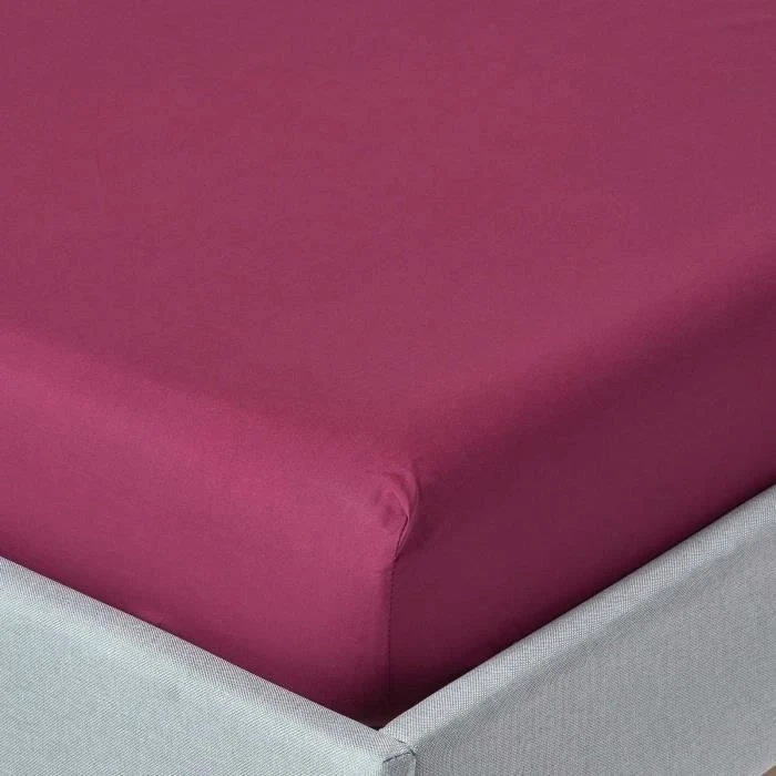 Drap-housse uni 180 x 200 cm 100% coton égyptien 200 fils coloris prune-0