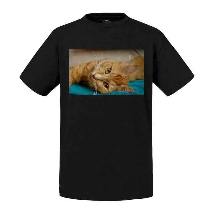 T-shirt Enfant Noir Chat Roux Tigré se Prélasse sur Serviette Bleu Animaux-0