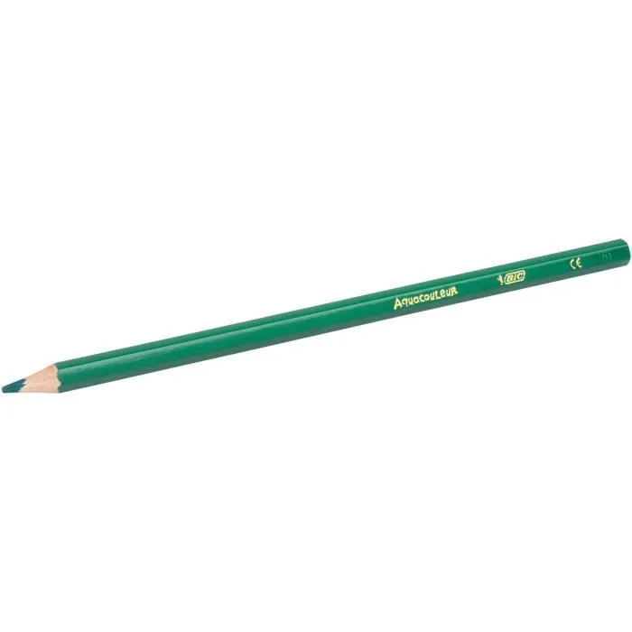 BIC Kids Aquacouleur Crayons de Couleur Aquarellables pour Effet Peinture - Coloris Assortis, Etui Carton de 12-1