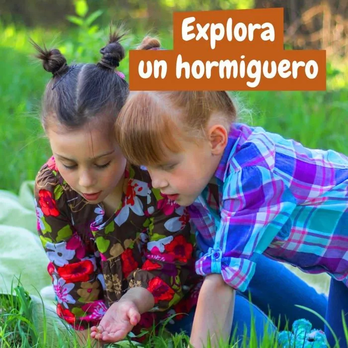 Decouverte nature - decouverte animaux - decouverte insectes Science4you - 80003490-3