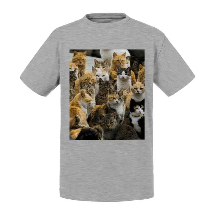 T-shirt Enfant Gris Japon Ile Chat Mignon Chats Roux Umashima-0