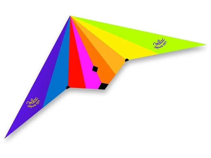 Cerf-volant delta avec double poignée - VILAC - Longueur 160 cm - Mixte - A partir de 7 ans-1