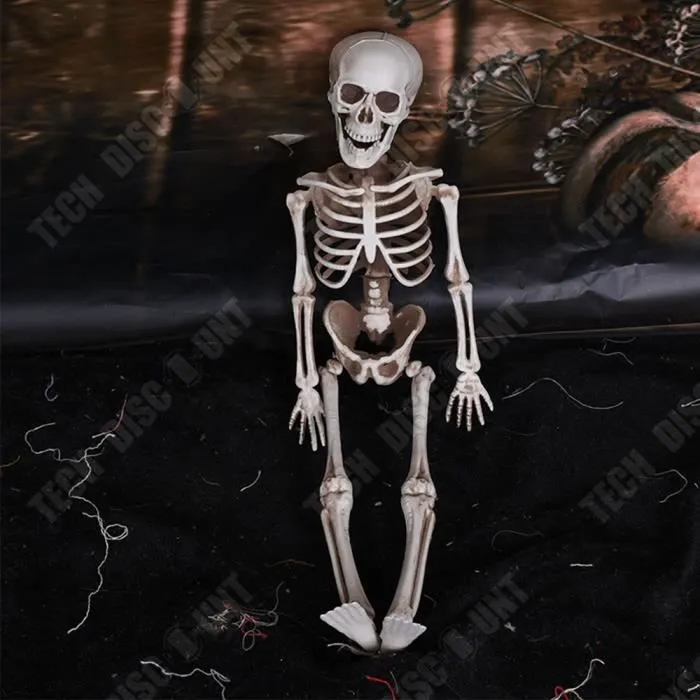 Squelette d'Halloween 165CM - TECH DISCOUNT - Posture réglable - Décoration terrifiante pour Halloween-3