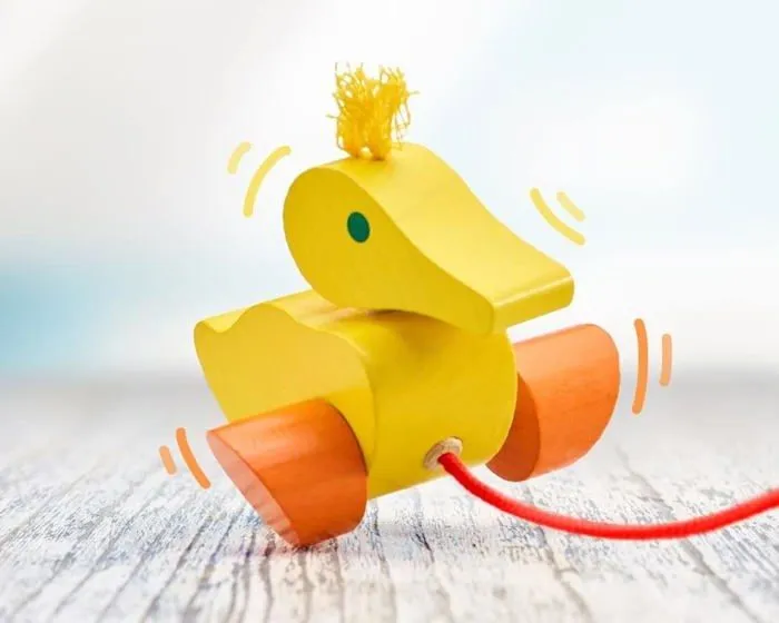 Selecta - Canard à tirer - SCHMIDT-2