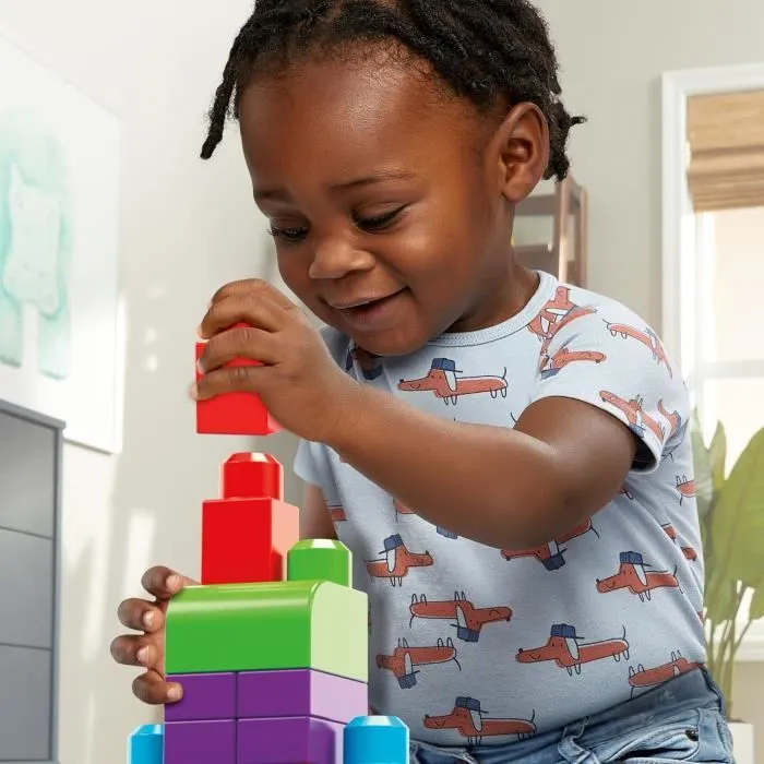 Mega Bloks - Sac Medium Classique 60 briques - Briques de construction - 12 mois et + DCH55-1