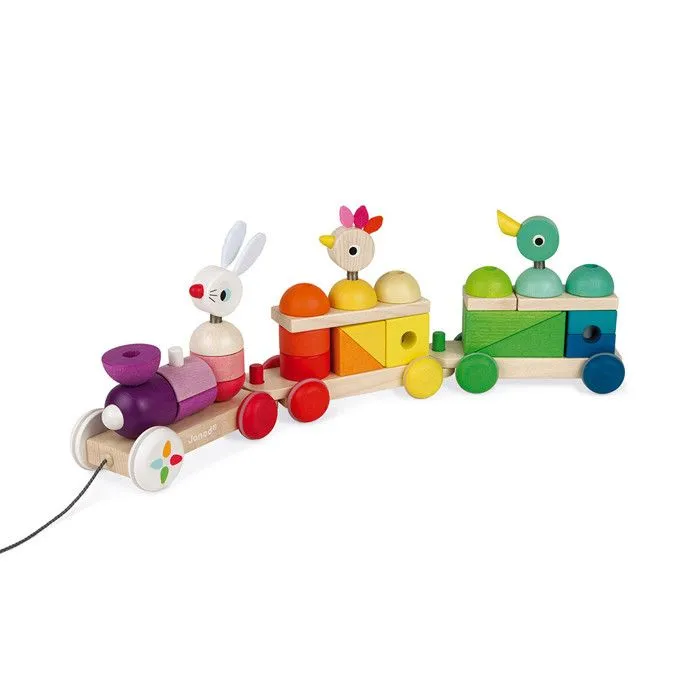 JANOD - Train Géant Zigolos - Jouet à tirer et jeu d'encastrement en bois - Dès 12 mois - Vert et multicolore-1