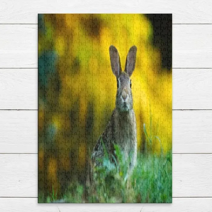 Puzzle Classique 500 pièces Lapin Mignon Dans Une Prairie Nature Photo Animaux Sauvages-3