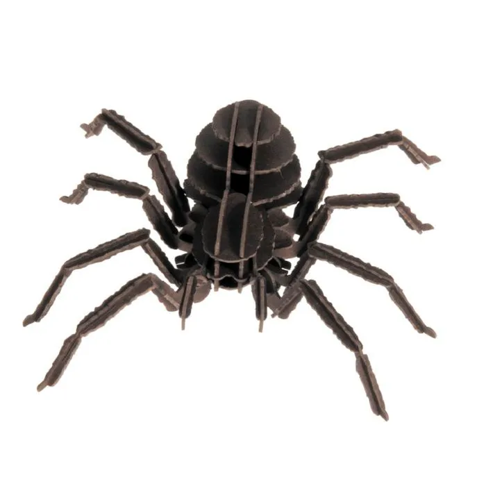 Fridolin - Maquette 3D en papier Tarentule-1
