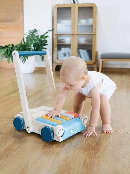 Plan Toys - Chariot de marche Tendresse - TROUSSELIER-5