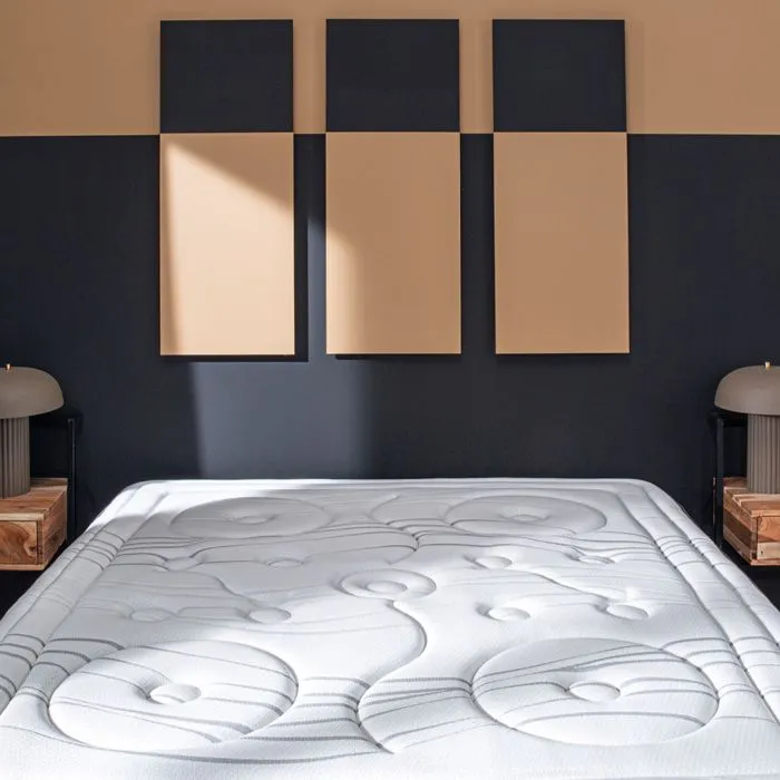 Ensemble Reina 2.0 180x200 cm Matelas Ressorts + Protège matelas anti punaise-4