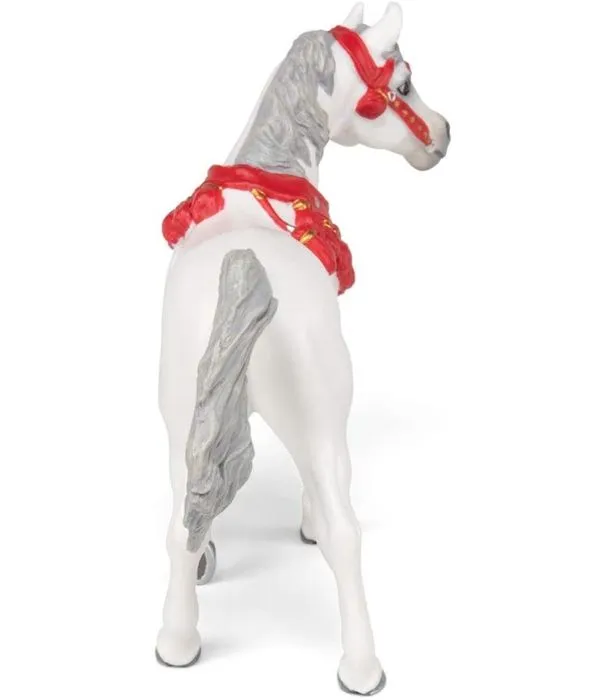 Cheval Arabe en tenue de parade blanc-4