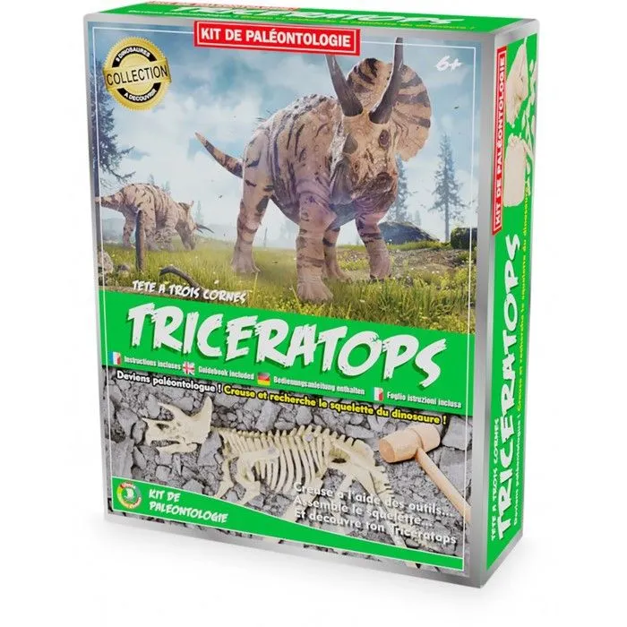 Ulysse - Kit Paleo - Triceratops-0