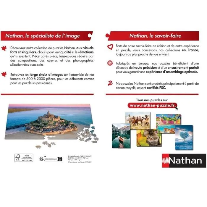 Nathan - Puzzle Tour Eiffel en automne 1000 pcs - RAVENSBURGER-2