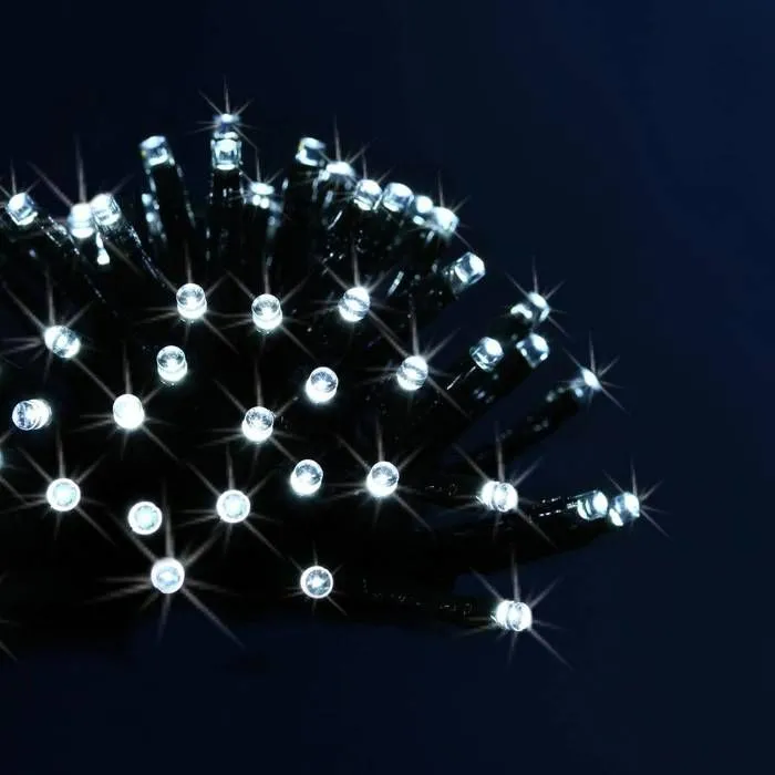 Guirlande électrique extérieure Technobase - FEERIC LIGHTS & CHRISTMAS - 80 leds - 8 m - Blanc froid-1