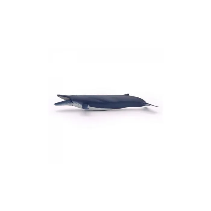 Papo - Baleine bleue-0
