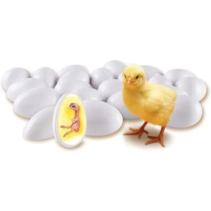 Learning Resources Kit de Découverte du Cycle de Vie du Poussin - LER2733-1