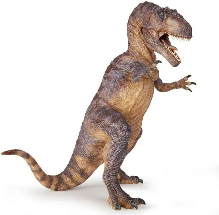 Figurine Giganotosaure de Papo pour enfants à partir de 3 ans - Dinosaures - Marron-2