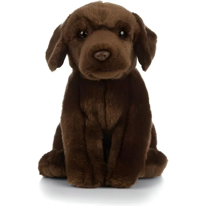 Peluche chien Labrador brun 22 cm - AN458-0