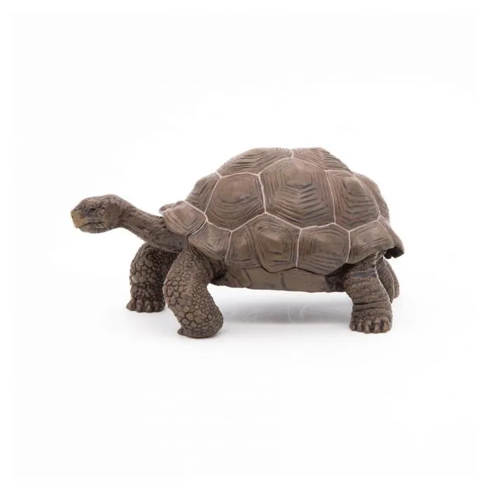 Figurine Tortue des Galapagos - Papo - Collection Vie Sauvage - Jouet pour Enfant de 3 à 10 ans-0