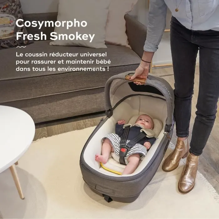 Babymoov Réducteur Nouveau-né Universel Cosymorpho, Tissu Respirant, De 0 à 6 mois, Fresh Smokey-1
