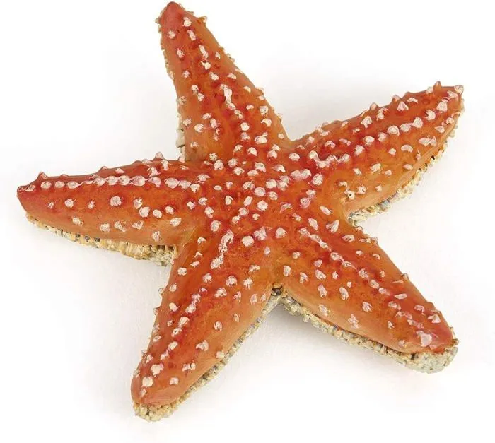 Figurine étoile de mer - PAPO - Modèle étoile de mer - PVC norme - Coloris Unique-0