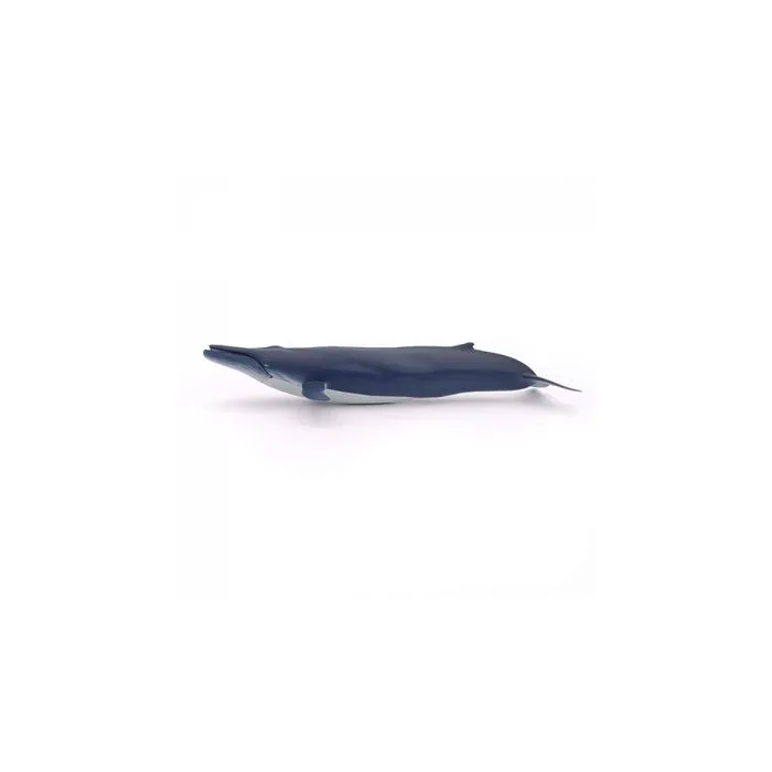 Papo - Baleine bleue-1