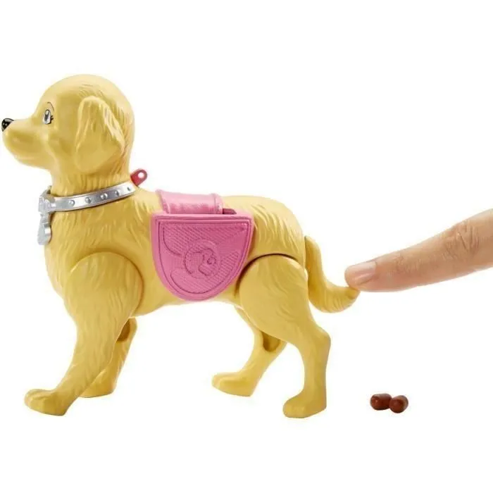 BARBIE - Balade du Chien-1