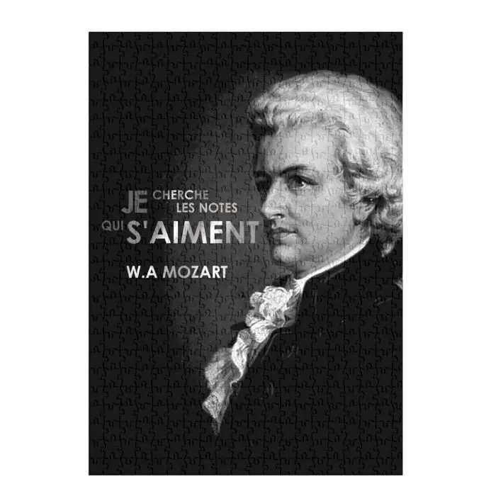 Puzzle Classique - FABULOUS - Je Cherche Les Notes Qui S'aiment Mozart - 500 Pièces - Adulte - Intérieur-1