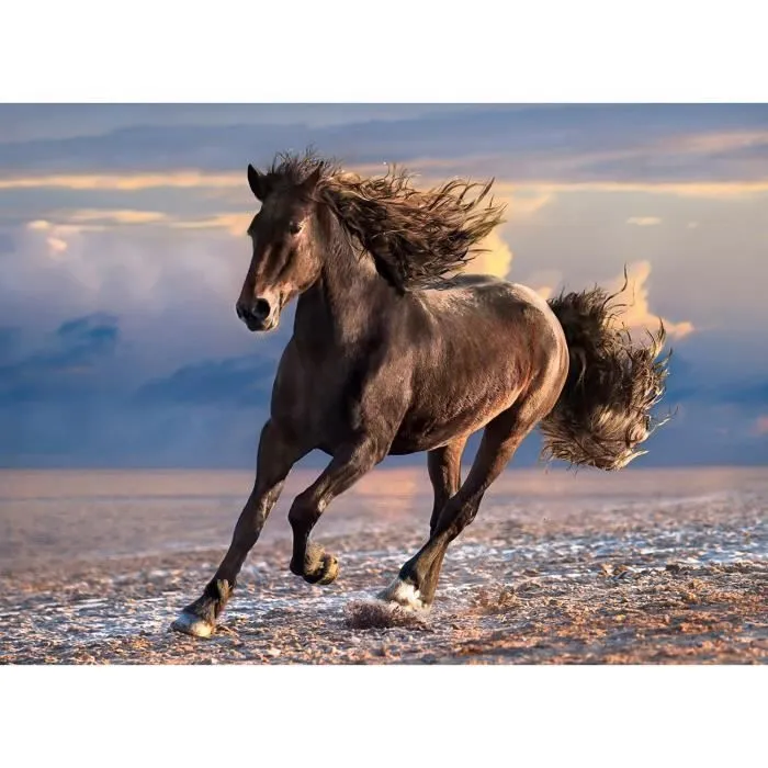 Puzzle 1000 pièces - CLEMENTONI - Cheval sauvage - Animaux - Coloris Unique-0