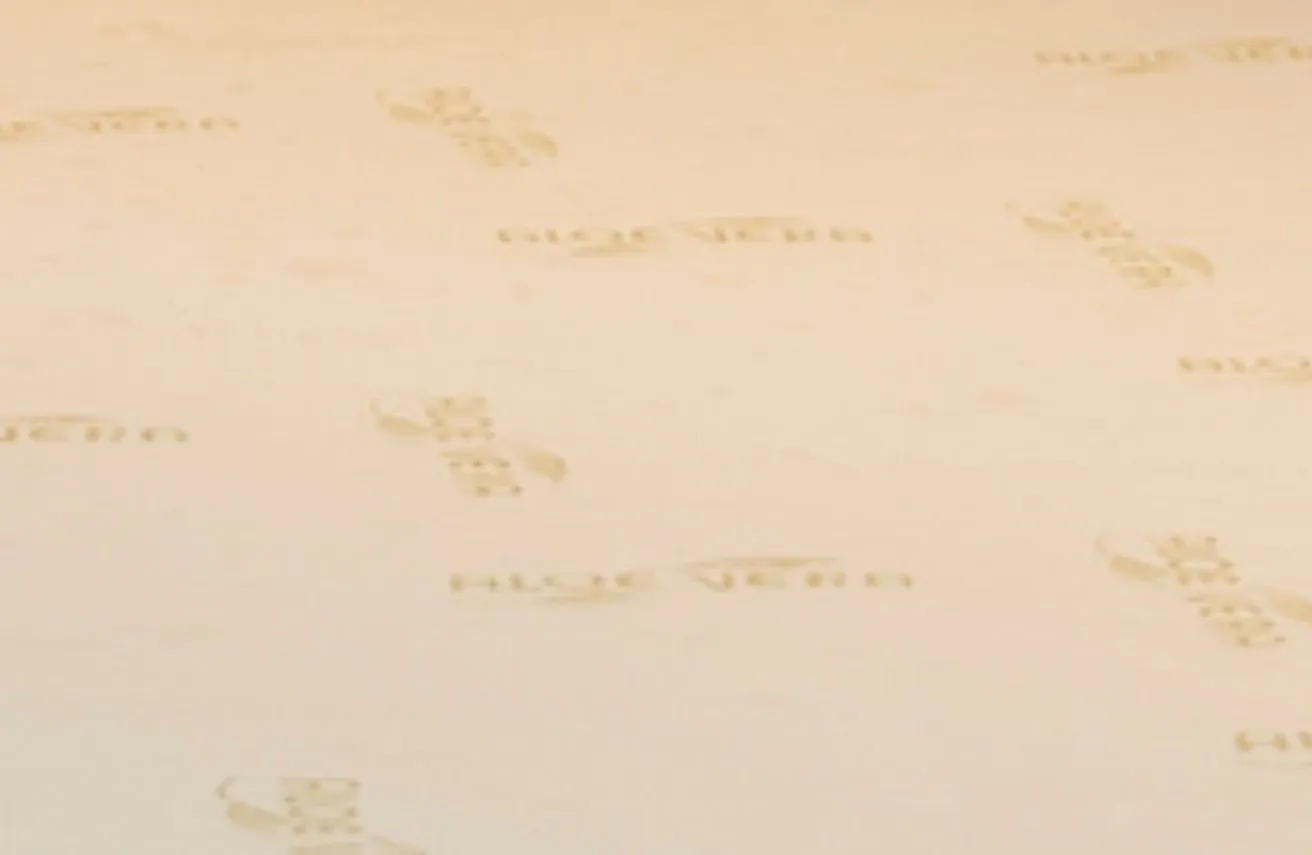 Sur-matelas Mousse à Mémoire de Forme 70x190 - 4 cm - Déhoussable - Surmatelas MÉMOIRE-1