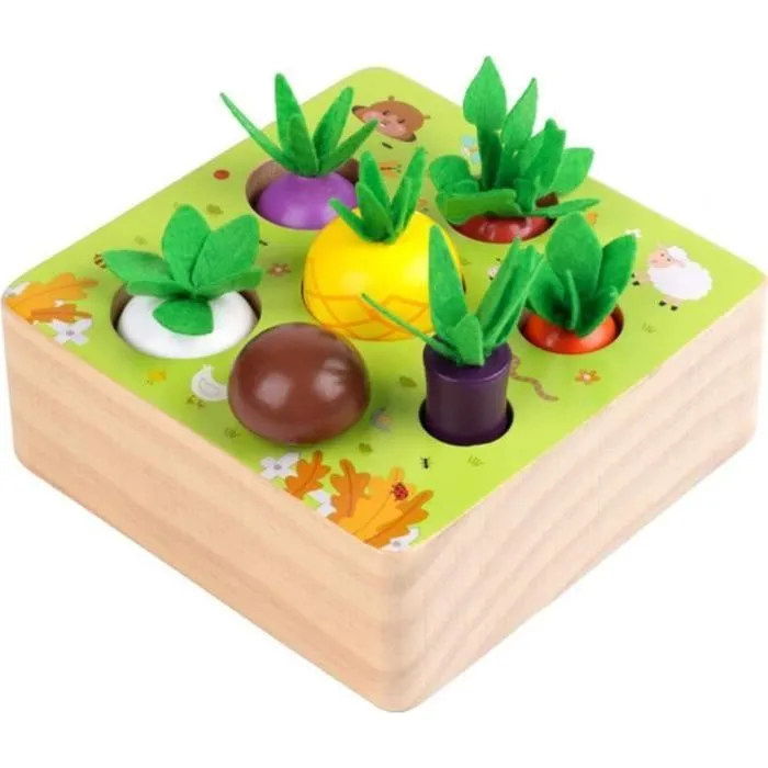 Jouet en Bois Jeu de tri Motricité Fine Jouets Bebe Montessori Jouet Enfant 1 2 3 Ans-0