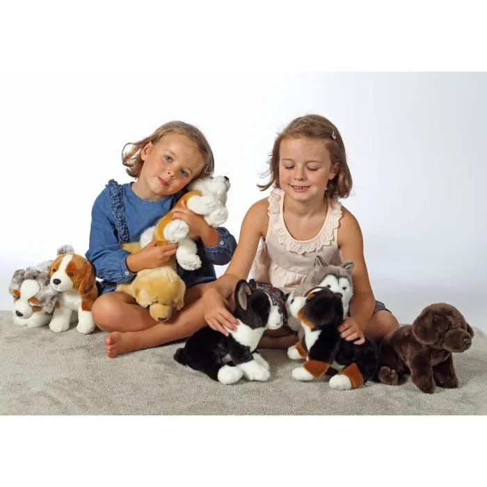 Gipsy Toys - Chien Berger Australien Assis - 25 cm - Blanc - Marron - Gris - Noir-2