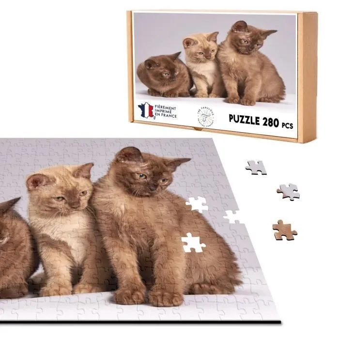 Puzzle Classique - FABULOUS - Bebe Chats Siamois Persan Poils Longs - 280 Pièces - Adulte - Mixte-0
