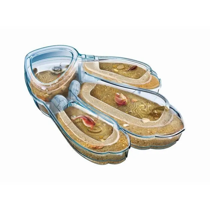 Clementoni - Science & Jeu - Triops-1