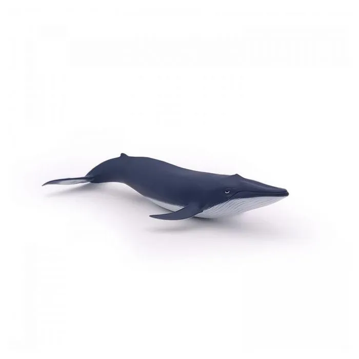 Figurine miniature - PAPO - Bébé baleine bleue - Enfant - Mixte - 3 ans et plus-1