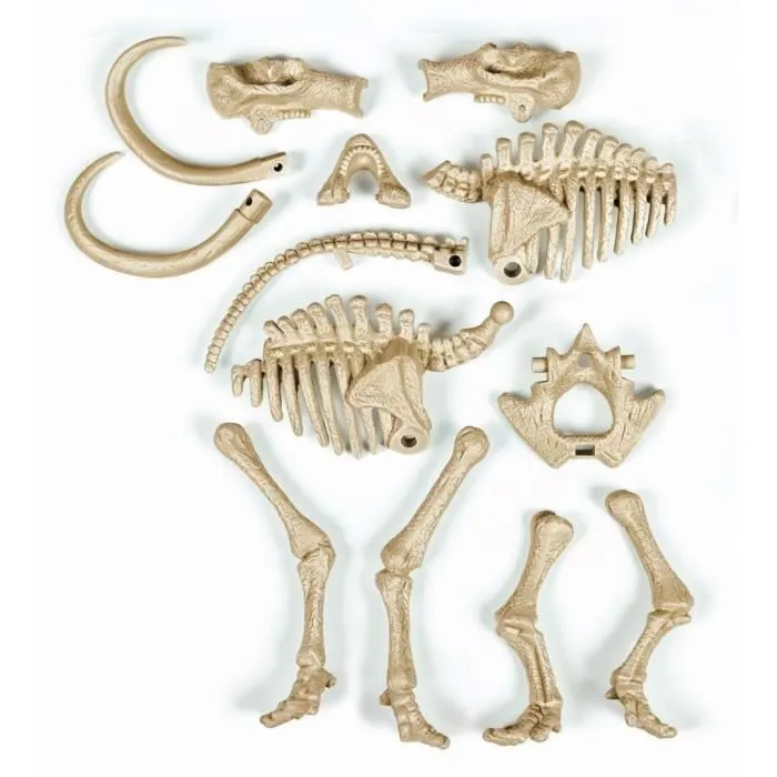 Clementoni - Archéo Ludic - Mammouth-4