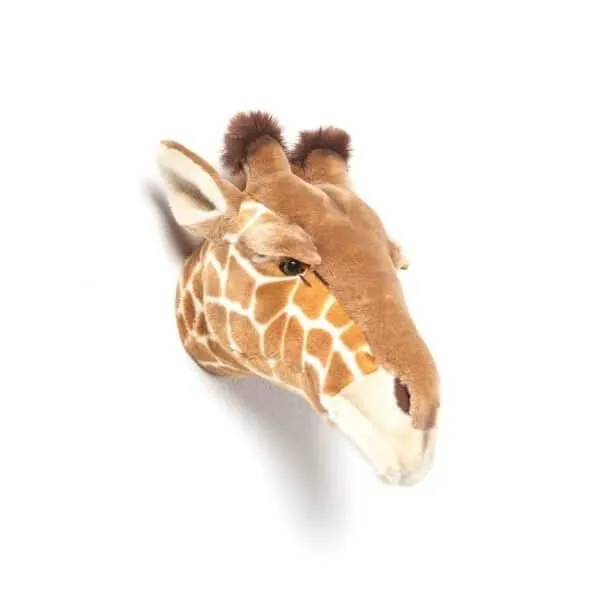 Trophée tête de girafe-1