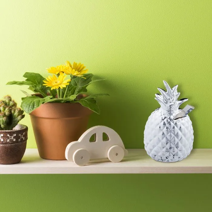 Relaxdays Tirelire ananas cochon déco boite économies épargnes pièces monnaies serrure céramique HxD: 16 x 9 cm, argenté-1