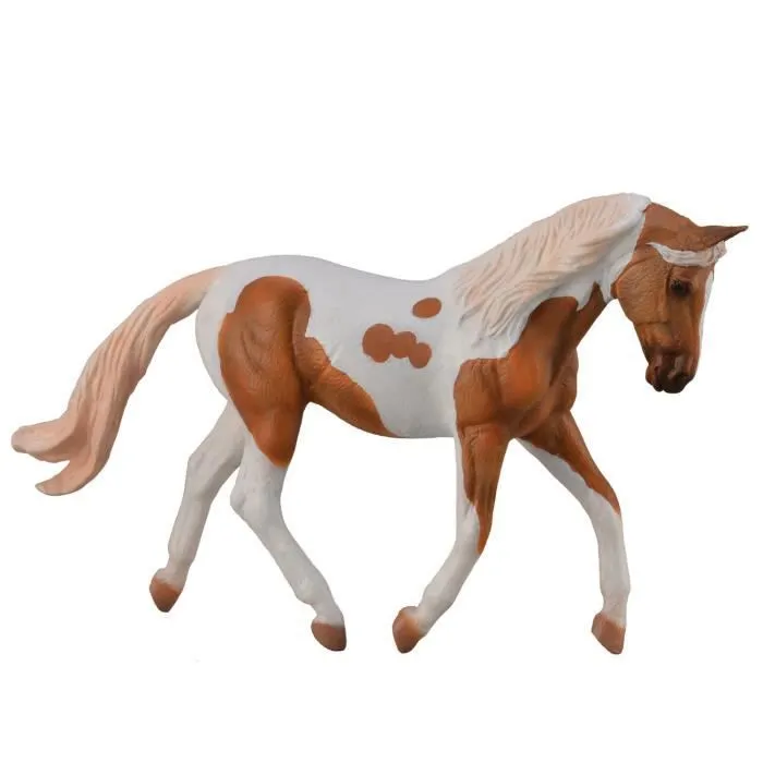 Jument palomino sale